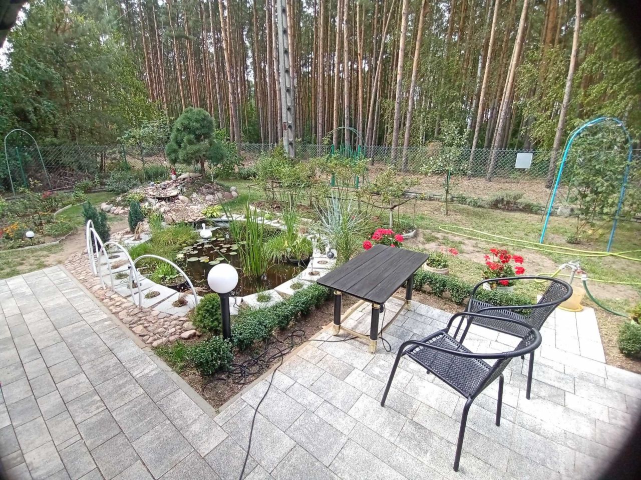 Działka budowlana Skęczniew. Zdjęcie 6