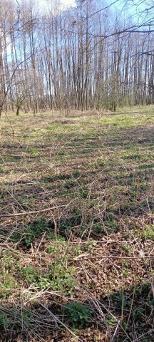 Działka rekreacyjna Poroże. Zdjęcie 1