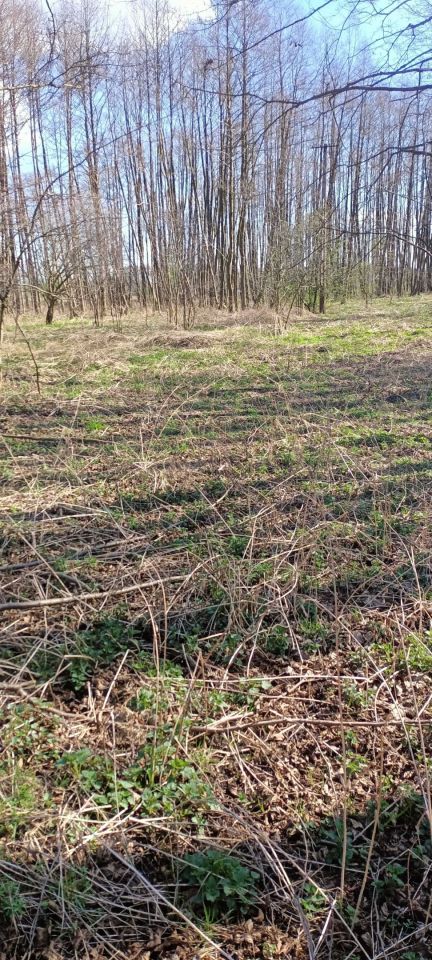 Działka rekreacyjna Poroże