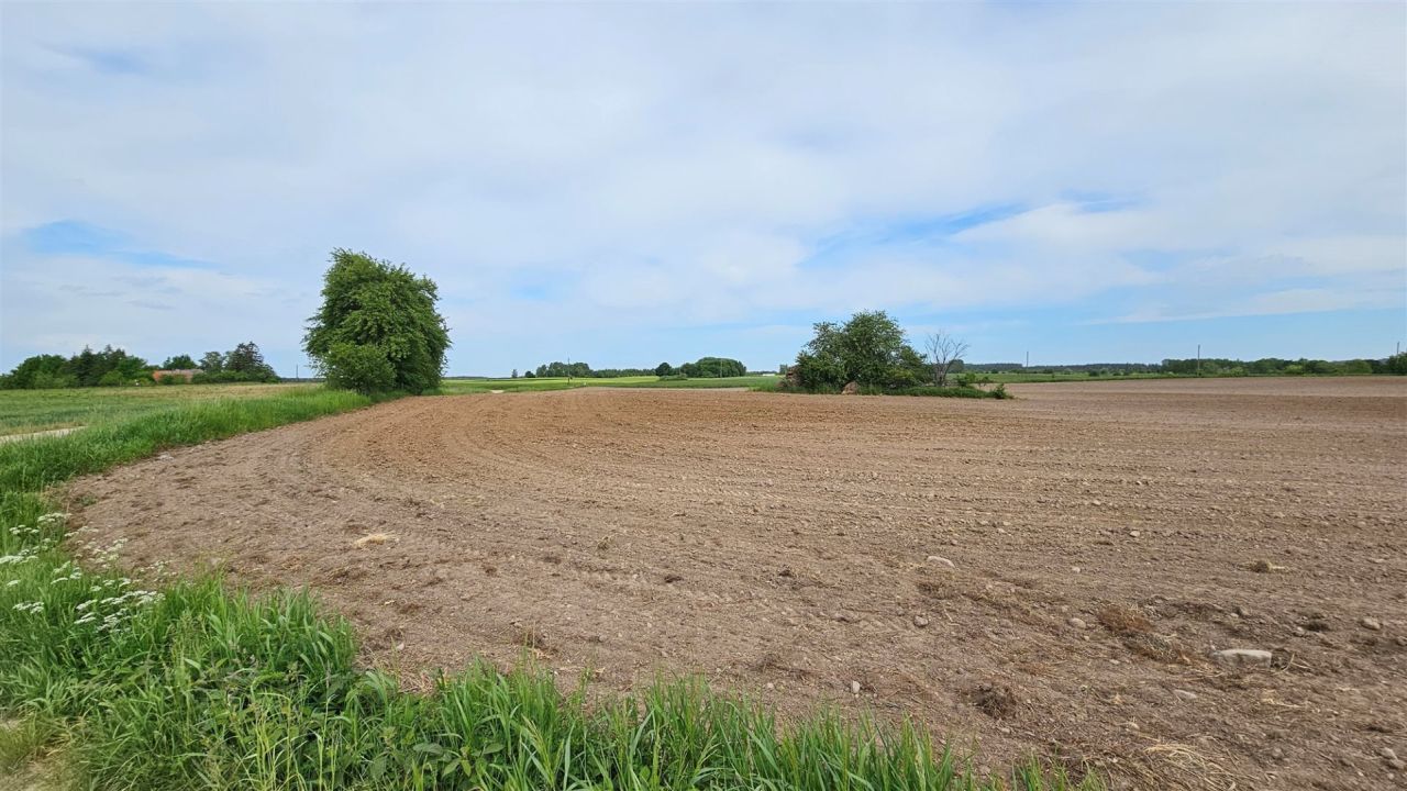 Działka rolna Dziubiele. Zdjęcie 16