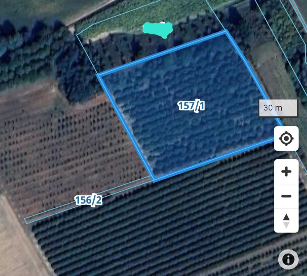 Działka rolna Pawłów. Zdjęcie 3