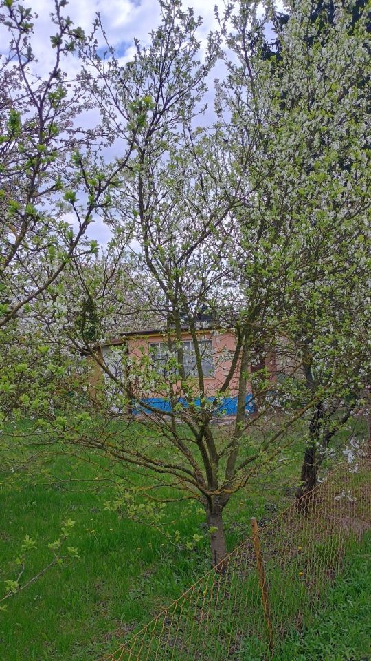 Działka rod Inowrocław, szosa Bydgoska. Zdjęcie 5