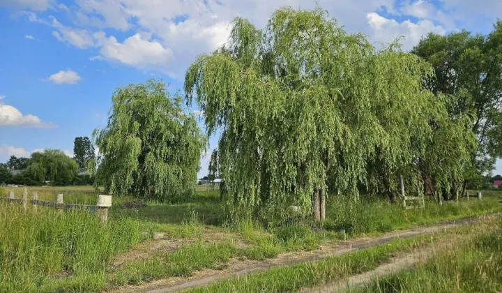 Działka budowlana Ligota