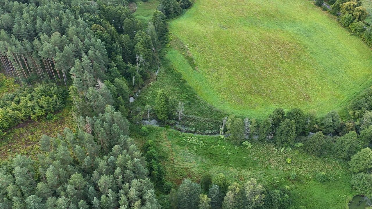 Działka budowlana Kłębowo. Zdjęcie 7
