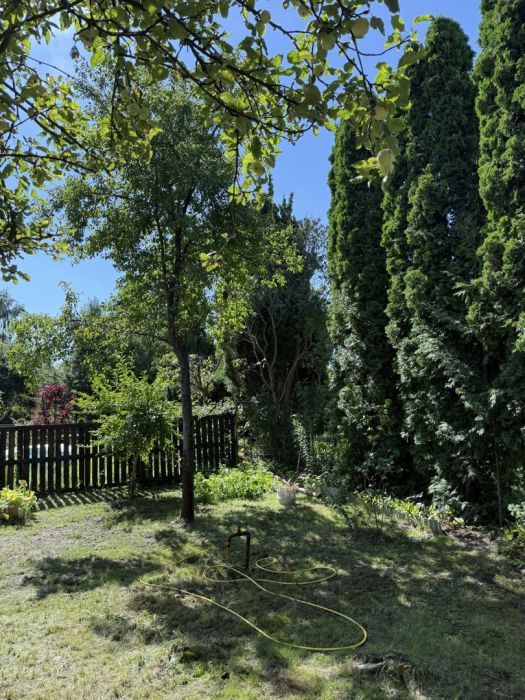 Działka rod Gdańsk, ul. Jana Kochanowskiego. Zdjęcie 7