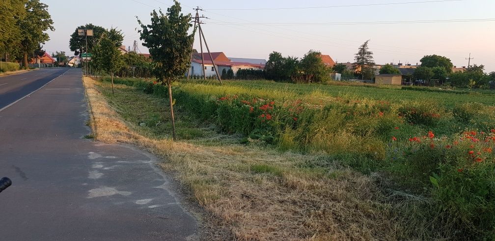 Działka rolno-budowlana Chawłodno. Zdjęcie 3