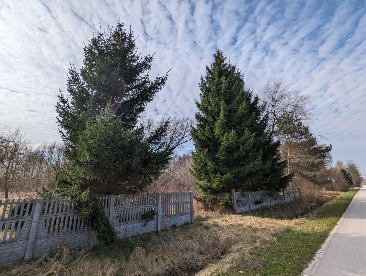 Działka budowlana Kalina Górecka. Zdjęcie 5