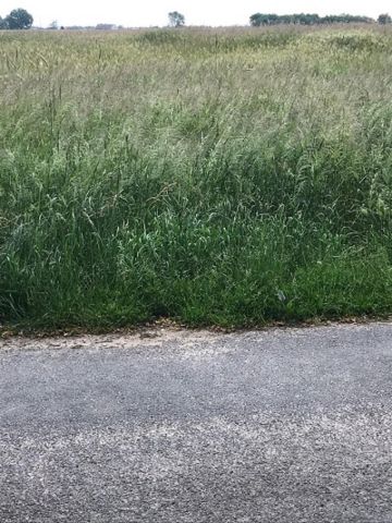 Działka budowlana Zadowice. Zdjęcie 2