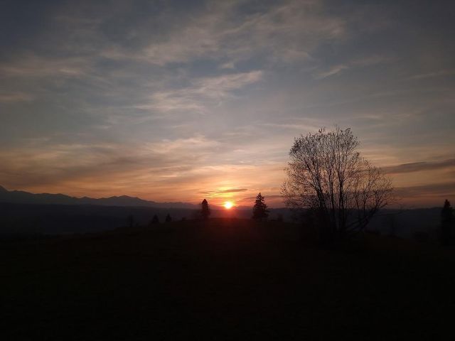 Działka rolna Rzepiska Bryjów Potok, ul. Potok Bryjów. Zdjęcie 1