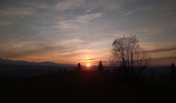 Działka rolna Rzepiska Bryjów Potok, ul. Potok Bryjów