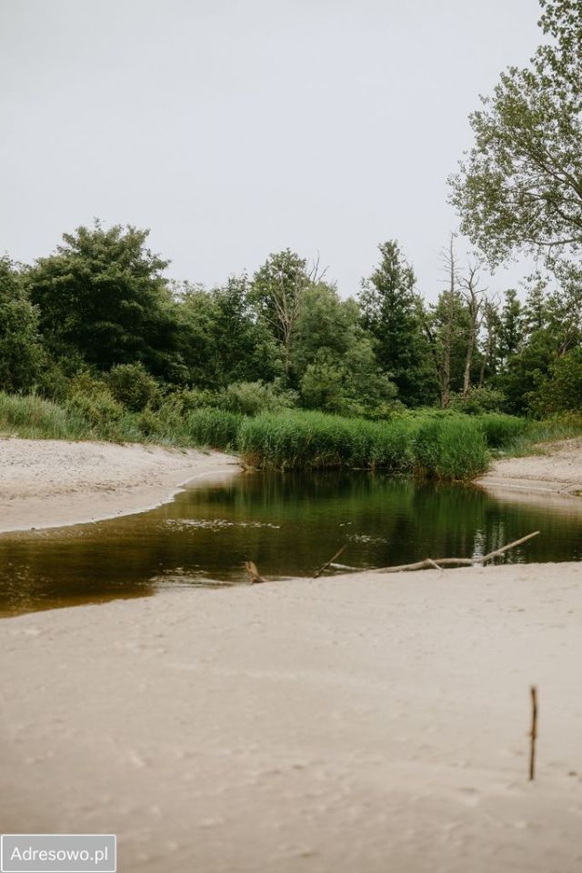 Działka rolno-budowlana Wieniotowo. Zdjęcie 7