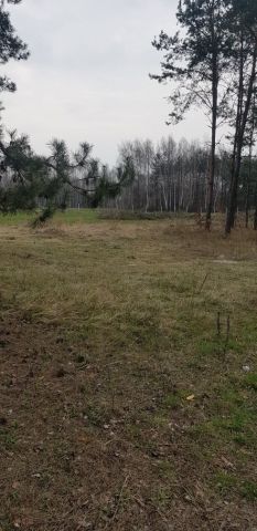 Działka siedliskowa Wola Suchożebrska. Zdjęcie 1