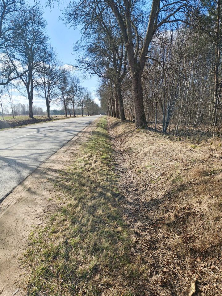 Działka budowlana Mlęcin. Zdjęcie 4