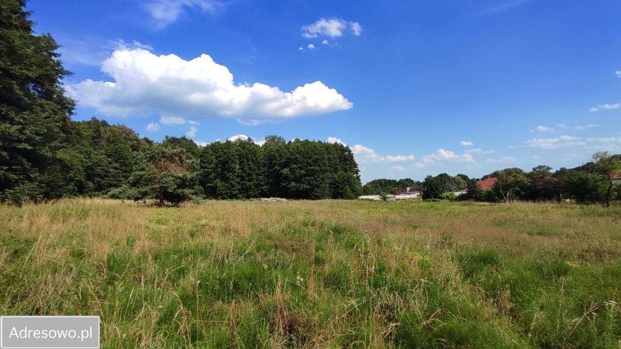 Działka rolna Zielona Góra Nowy Kisielin, ul. Nowy Kisielin-Dolna. Zdjęcie 9