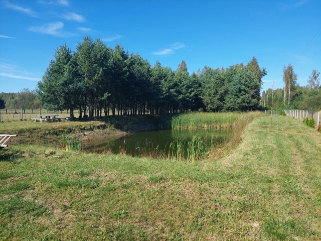 Działka leśna Piszczac-Kolonia. Zdjęcie 1