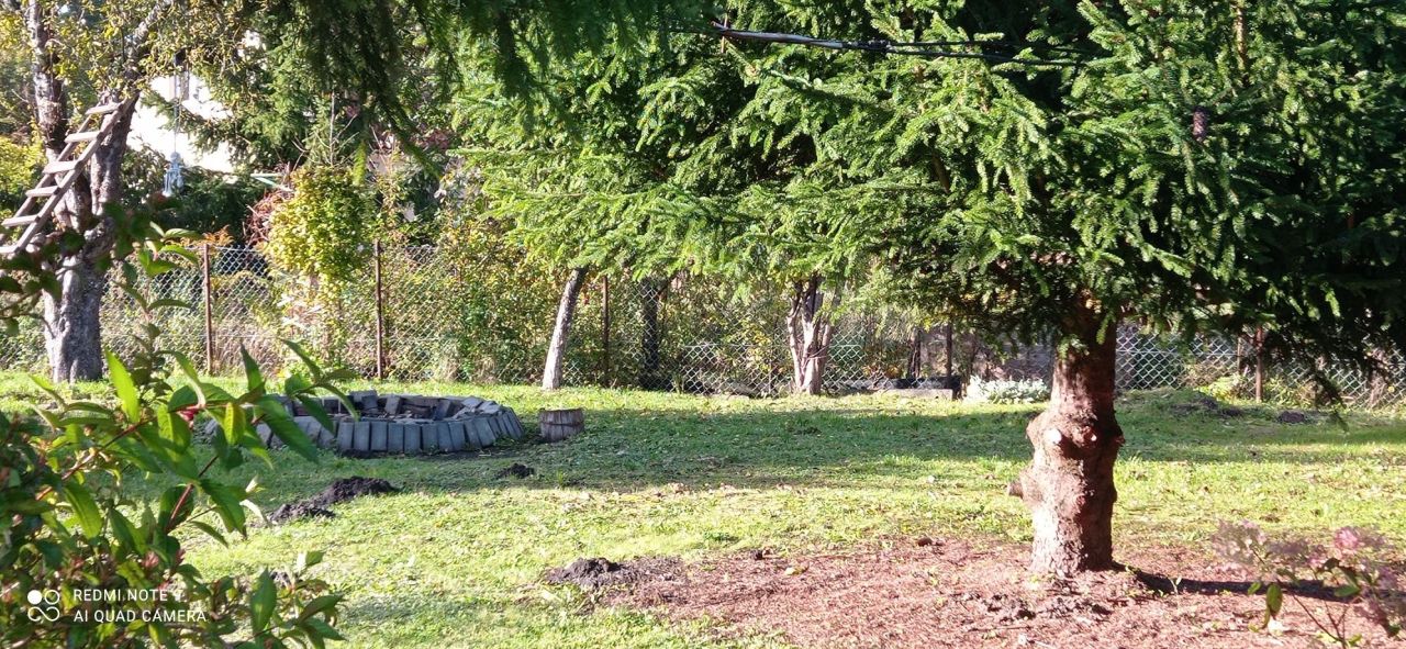 bliźniak Reszel. Zdjęcie 2