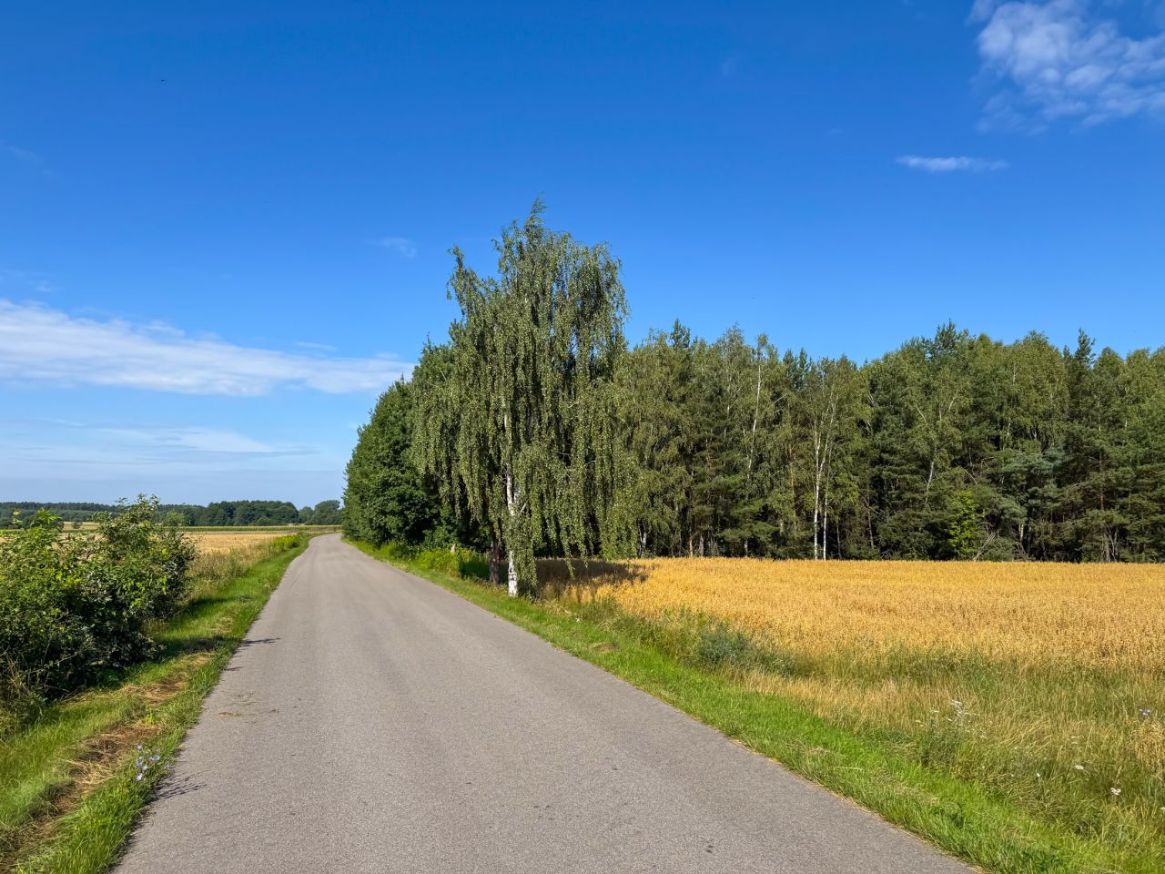 Działka budowlana Rudzienko