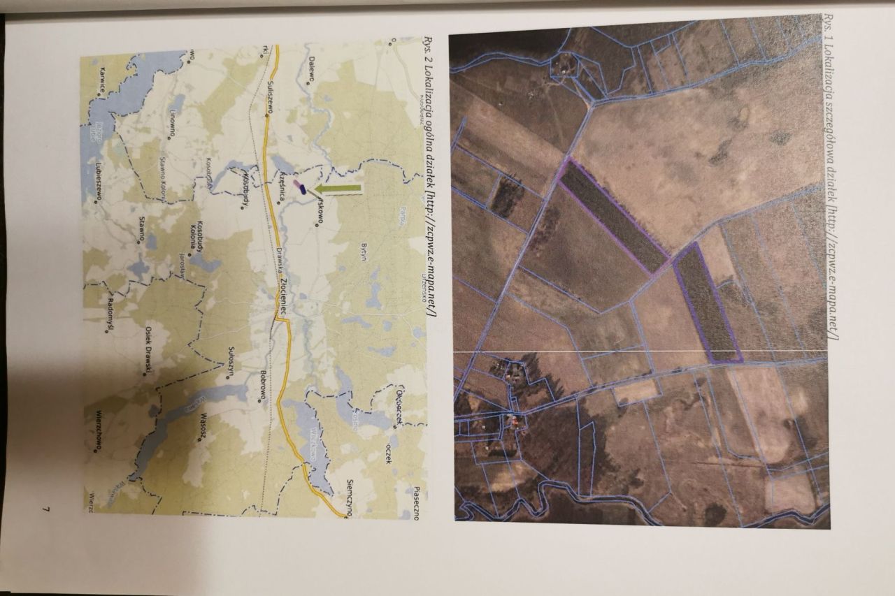 Działka rolna Rzęśnica. Zdjęcie 3