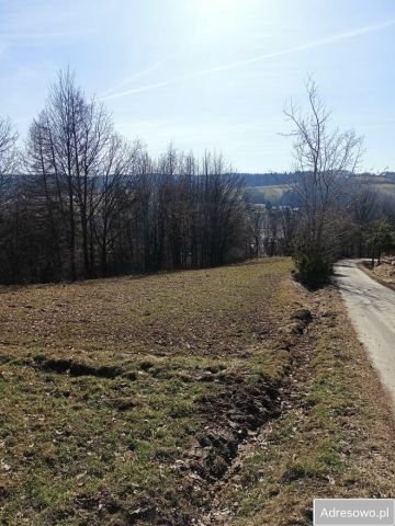 Działka rekreacyjna Jabłonica. Zdjęcie 1