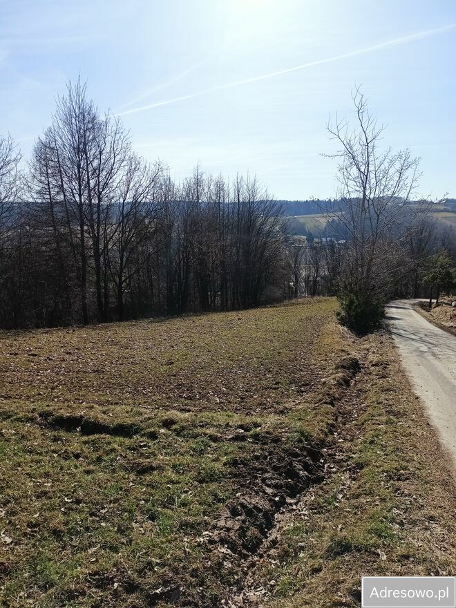 Działka rekreacyjna Jabłonica. Zdjęcie 1