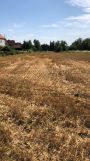 Działka budowlana Zamość, ul. Lwowska. Zdjęcie 1