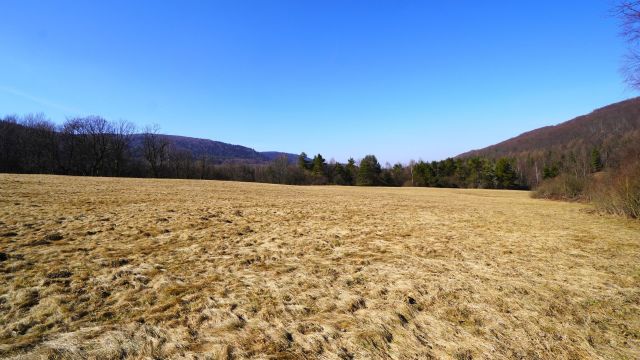 Działka rolna Regietów. Zdjęcie 9