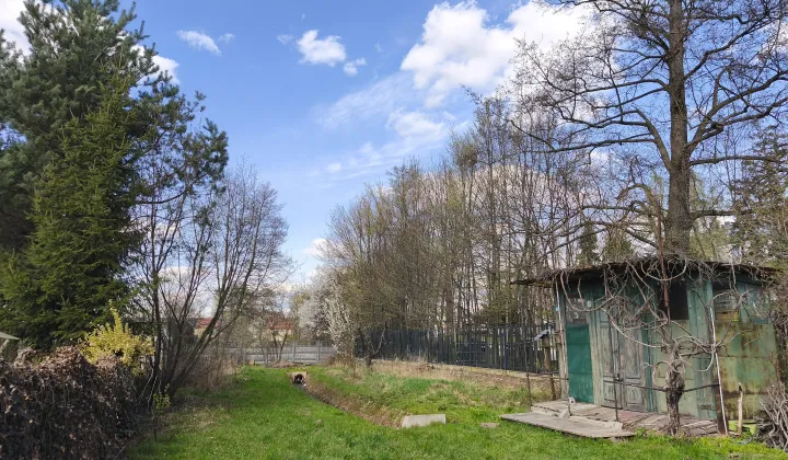 Działka rod Warszawa Wawer, ul. Skalnicowa