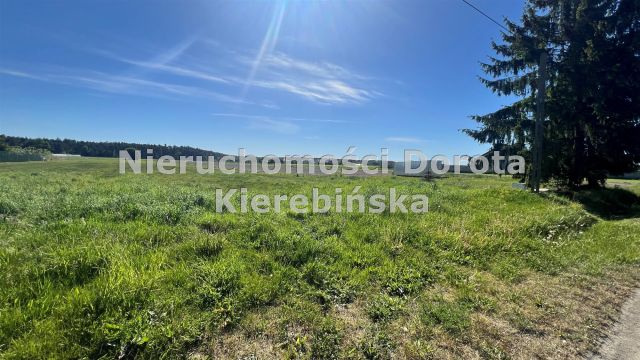 Działka Nowy Jasień. Zdjęcie 5