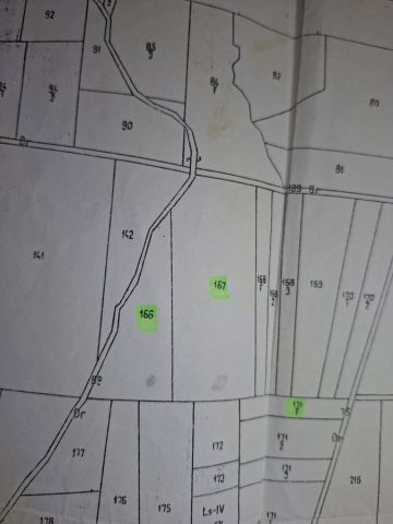 Działka leśna Kosztowa. Zdjęcie 1