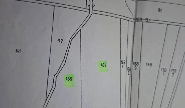 Działka leśna Kosztowa