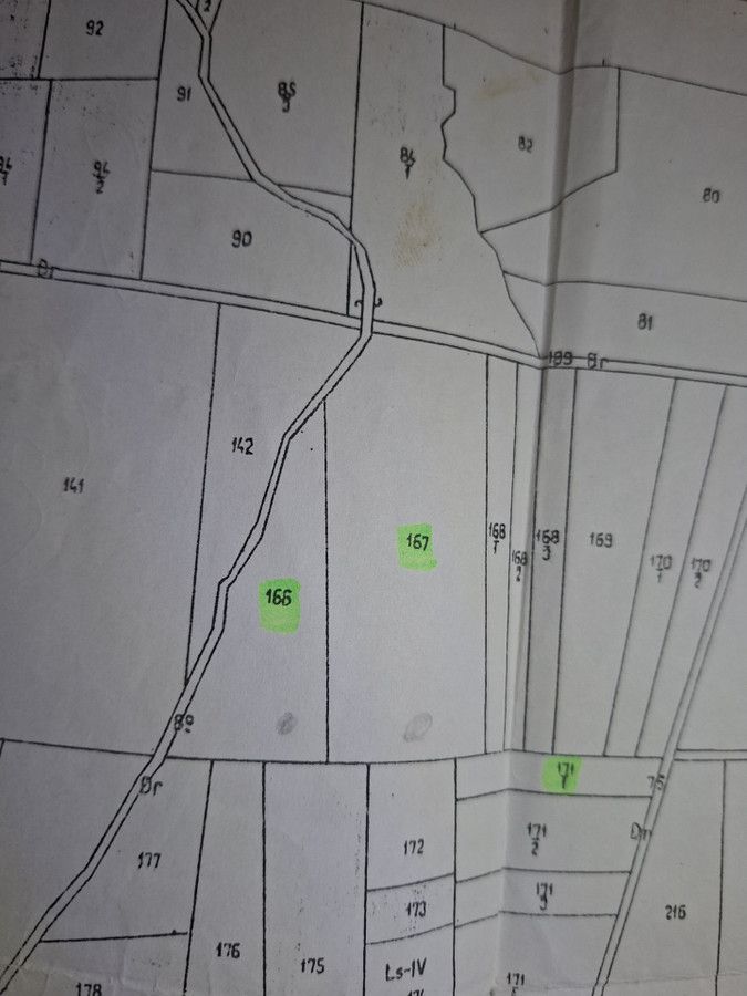 Działka leśna Kosztowa. Zdjęcie 1