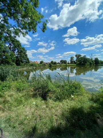 Działka rolna Grubsko. Zdjęcie 6