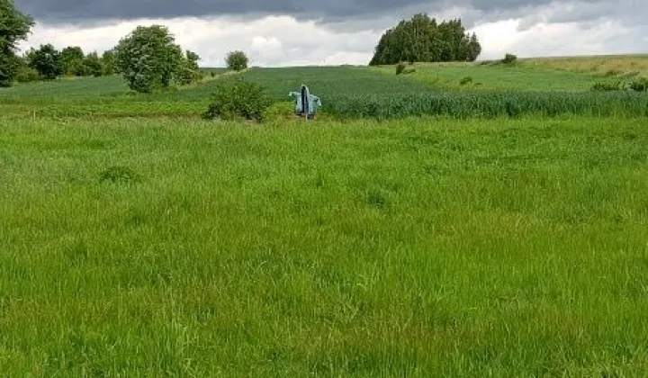 Działka rolna Dąbrowa Górna