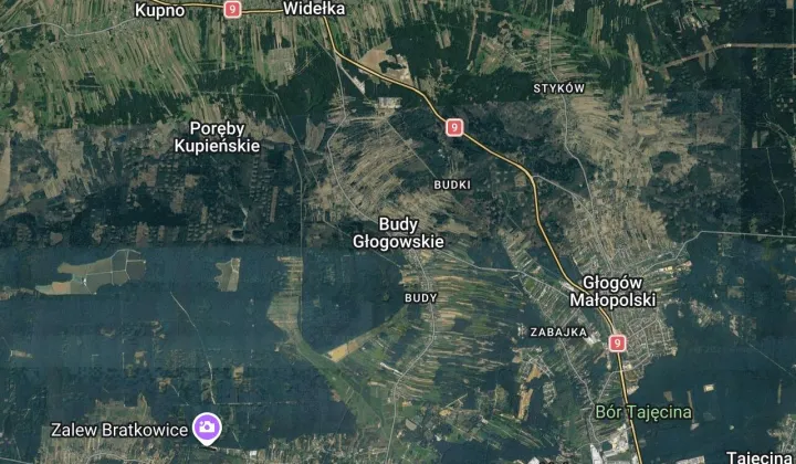 Działka rolna Budy Głogowskie
