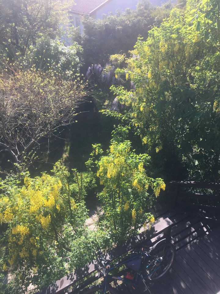 Działka rekreacyjna Czarne Małe. Zdjęcie 54