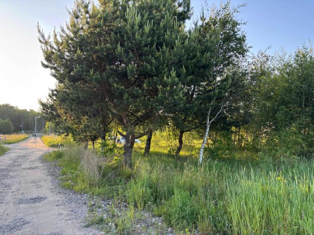 Działka budowlana Pomlewo. Zdjęcie 1