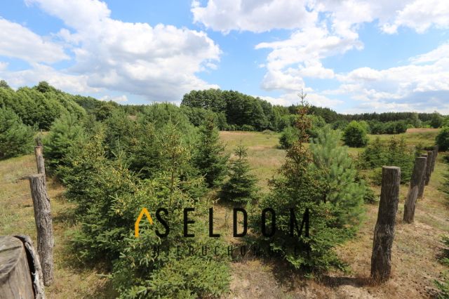 Działka rekreacyjna Ostrowo. Zdjęcie 4