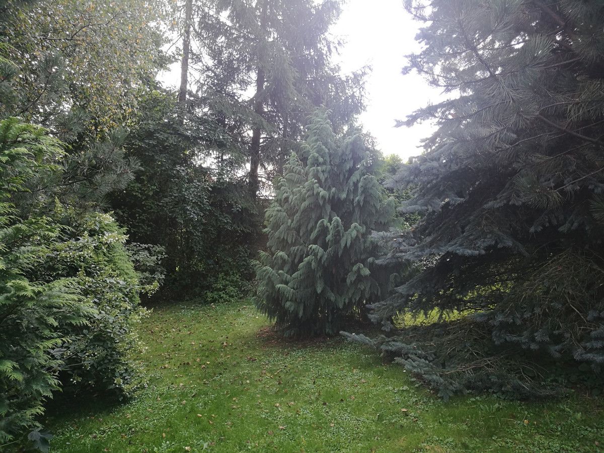 Działka budowlana Lipinki. Zdjęcie 5