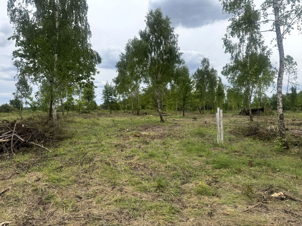 Działka rolno-budowlana Głodowo Wielkie. Zdjęcie 7