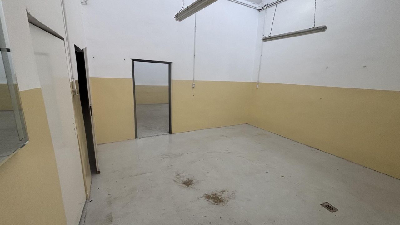 Zdjęcie 7
