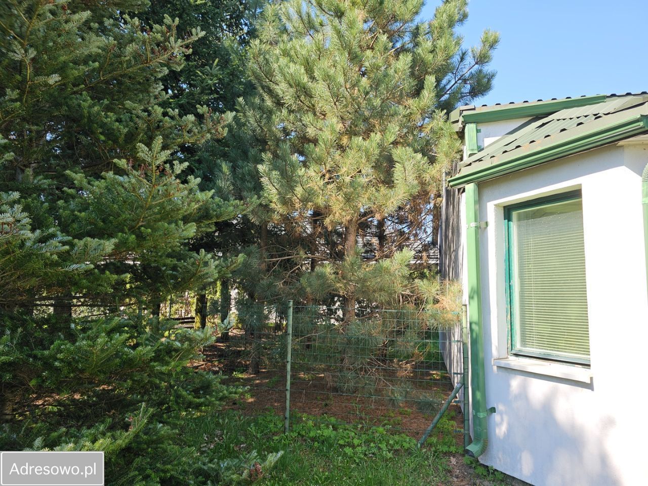 Hala/magazyn Otrębusy. Zdjęcie 5