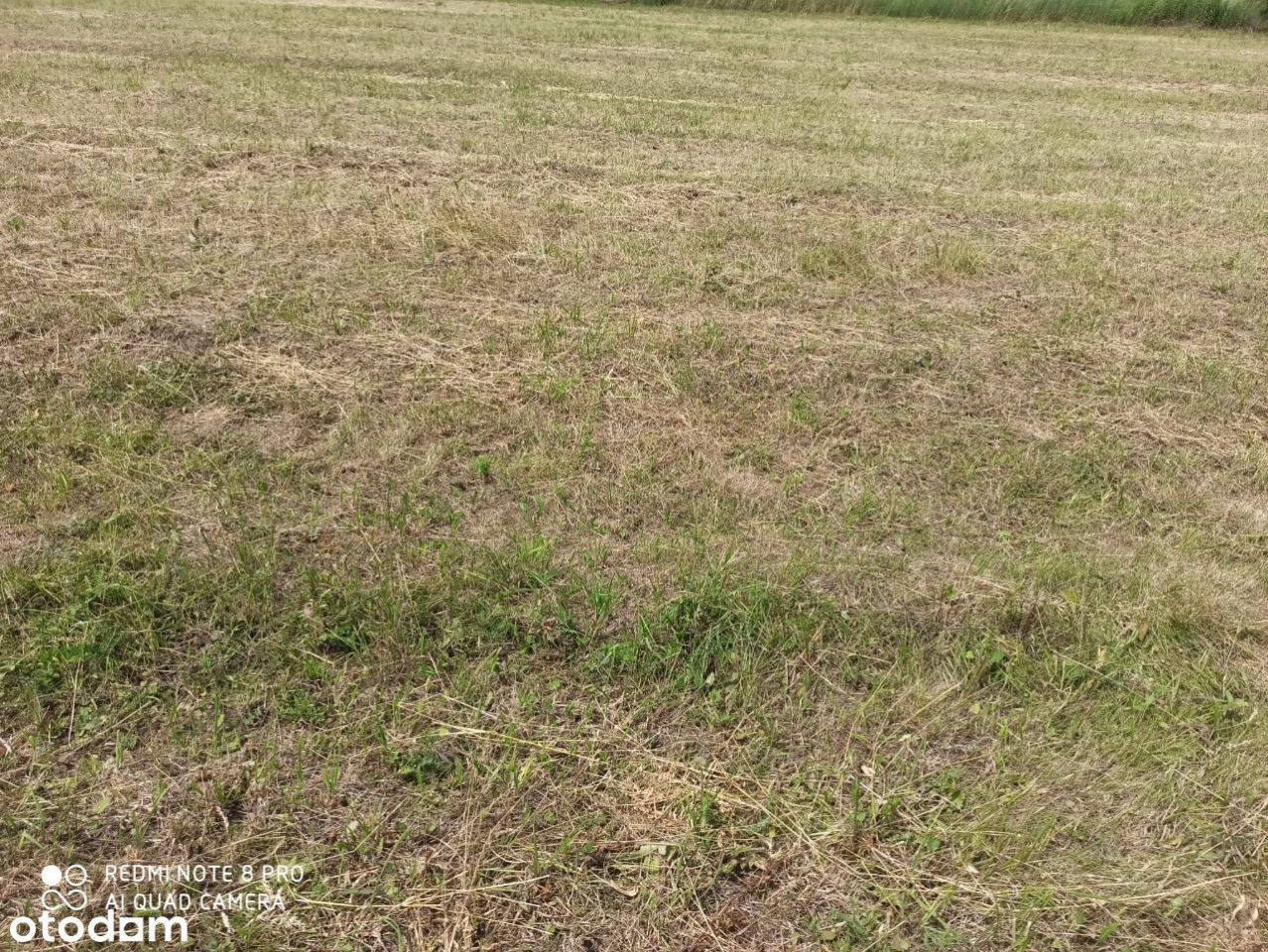 Działka budowlana Lędziny, ul. Złota