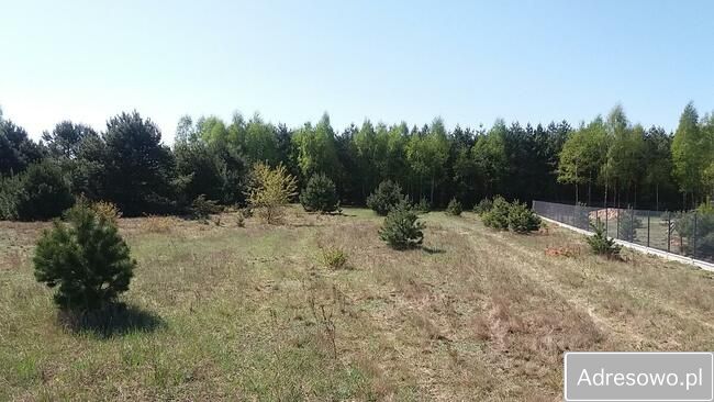 Działka siedliskowa Lubaty. Zdjęcie 5