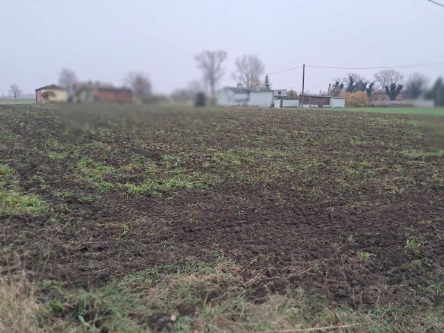 Działka budowlana Piotrków Kujawski, ul. Sadowa. Zdjęcie 1