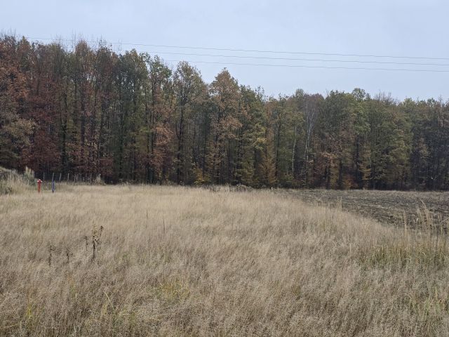 Działka budowlana Ornontowice, ul. Bujakowska. Zdjęcie 1