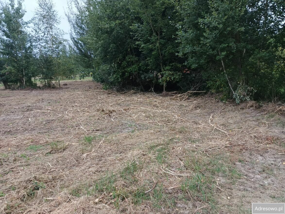 Działka budowlana Osolin, ul. Zielona. Zdjęcie 6