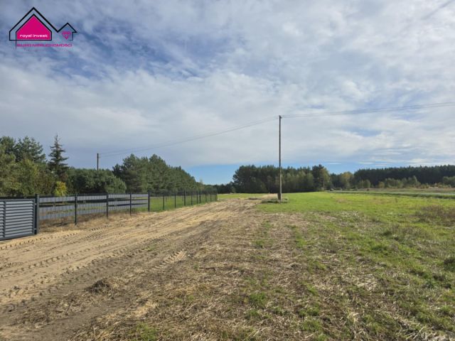 Działka rekreacyjna Adamowo. Zdjęcie 6