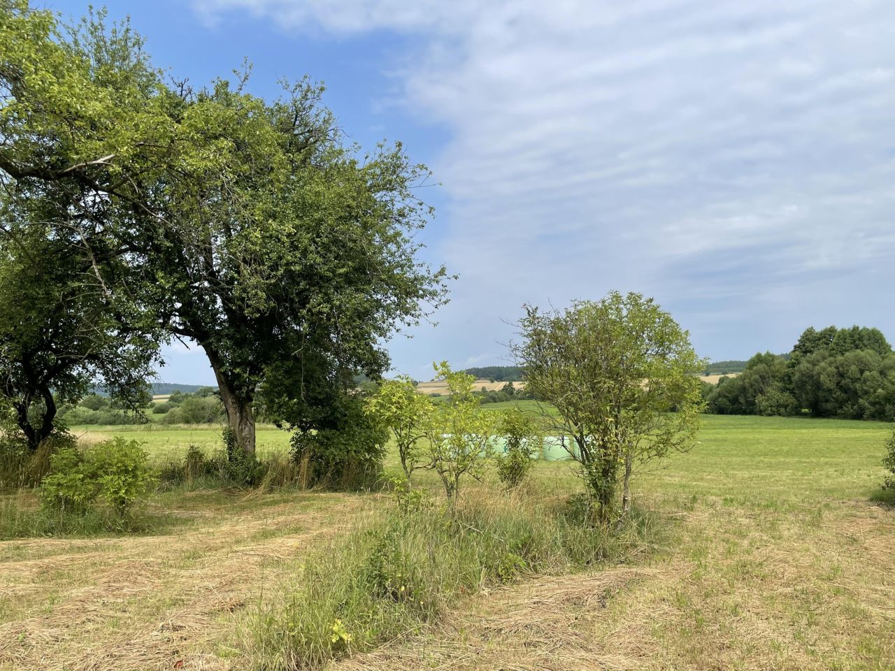 Działka rolno-budowlana Kopczany. Zdjęcie 6