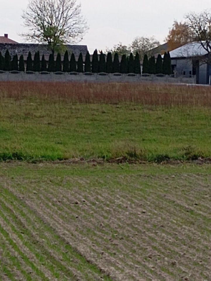 Działka rolno-budowlana Chajęty. Zdjęcie 7