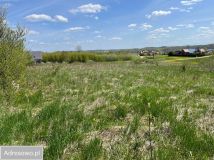 Działka siedliskowa Piszewo. Zdjęcie 2